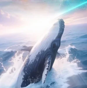 舞动奇鲸 Dancing with the whale(Anchor development)