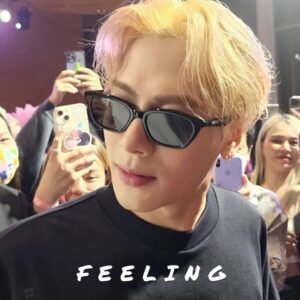 Sunglass （Anchor Development)